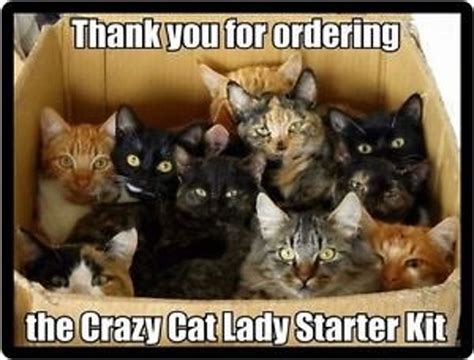 Happy National Cat Lady Day Crazy Cat Lady Meme