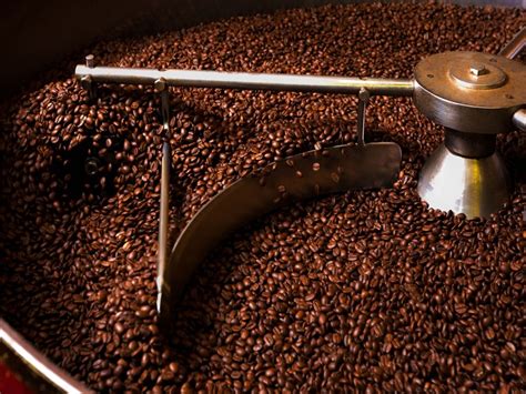 The roasting process is what produces the characteristic flavor of coffee by causing the green coffee beans to change in taste. Coffee Roasting - CMS