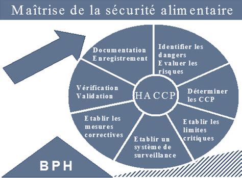 M Thode Haccp Qhsa Formation