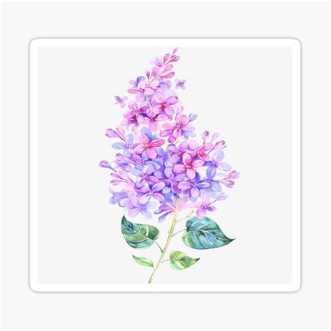 Lilacs Sticker For Sale By Americanpoison Redbubble