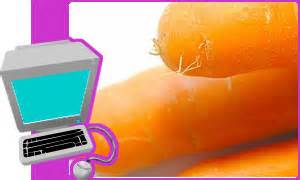 CBBC Newsround | QUIZ | Healthy eating quiz