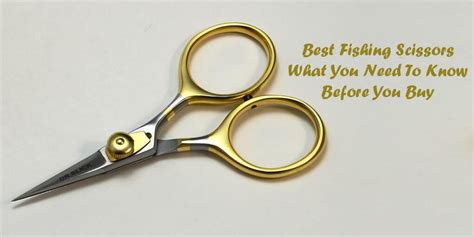 7 Best Fishing Scissors What You Need To Know Before You Buy