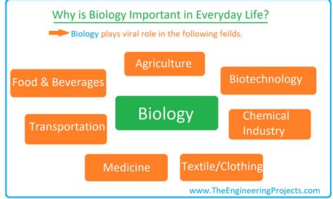 What Is Biology Definition Branches Books And Scientists The
