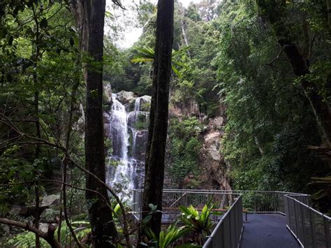 Popular Minnamurra Walking Track And Lookouts Reopen Illawarra