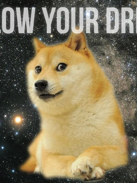 Free Download Doge Yo Te Banco Humor Y Paranormal 1920x1080 For Your