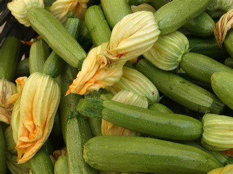 After the atkins induction phase, low carb fruit is allowed. Difference Between Zucchini and Courgette