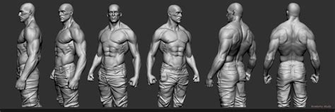Studying Anatomy In Zbrush With Zspheres Jerome Delos Lado Anatomy