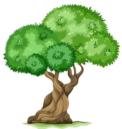 Oak Tree Clipart Free Download On Clipartmag
