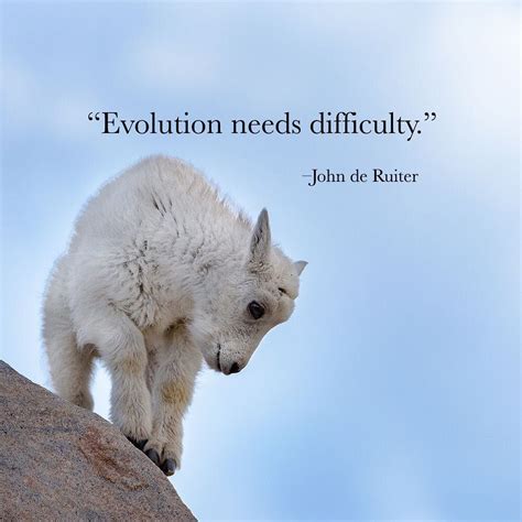 Evolution Needs Difficultyjohn De Ruiter Inspirational Quotes With