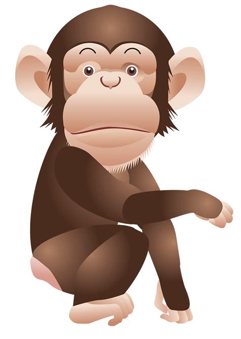 Download High Quality Monkey Clipart Cartoon Transparent Png Images