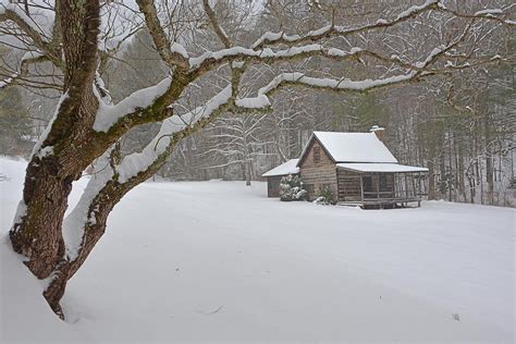 We did not find results for: Cozy Cabin In The Snow in 2020 (With images) | Snow cabin ...