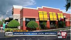 Dine Like A Boss Uncover The Secret To Unbeatable Burgers At Applebees Pinellas Park
