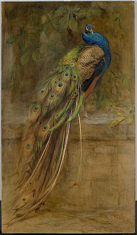 The Peacock Painting Edwin John Alexander Oil Paintings