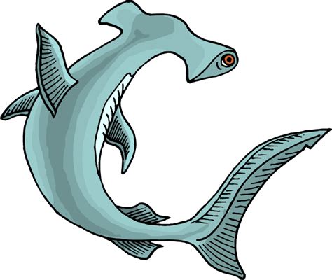 All images is transparent background and free download. Free Shark Clipart