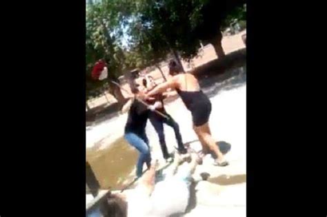 Batalla Campal Graban Pelea De Mujeres Que Luchan A Escobazos E