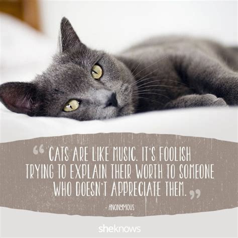 50 Cat Quotes That Perfectly Explain Your Love For Kitties Cat Quotes
