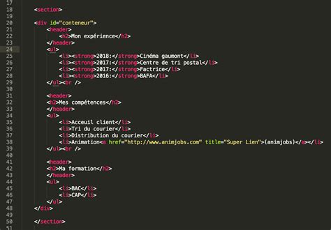 [Résolu] cour HTML/CSS  exercice Organiser son cv par MarionCaulier