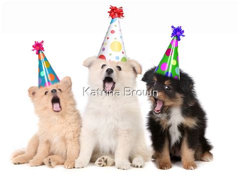Puppy Dogs Singing Happy Birthday To You By Katrina Brown Redbubble