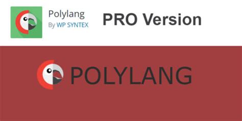 Polylang Pro Wordpress Multilingual Plugin Themepro