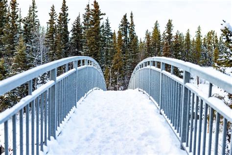 Snow Covered Bridge Stock Photo Image Of Falls Territories 201376736