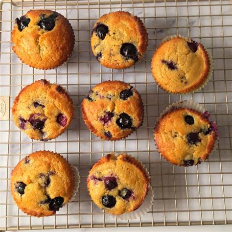 Kodiak Cakes Muffins Blueberry Protein Muffins Summer Yule Nutrition