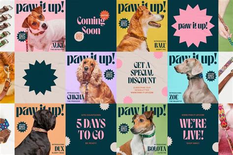 Paw It Up! on Behance | Pet branding, Social media design graphics