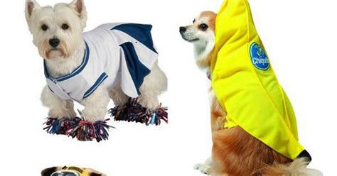 7 Cute Large Dog Halloween Costumes For Girl Dogs