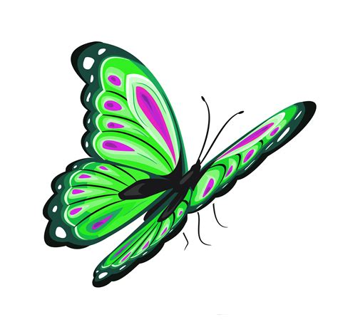 Butterfly Clip Art Green And Pink Butterfly Png Clipart Picture Png