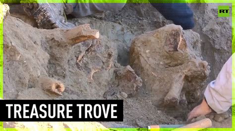 Remains Of Giant Ice Age Sloth Unearthed In Argentina
