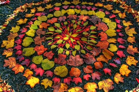 Most Beautiful Andy Goldsworthy Art And Images Environmental Art Andy Goldsworthy Art