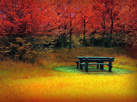 Free Download Beautiful Autumn Wallpapers Most Beautiful Places In The