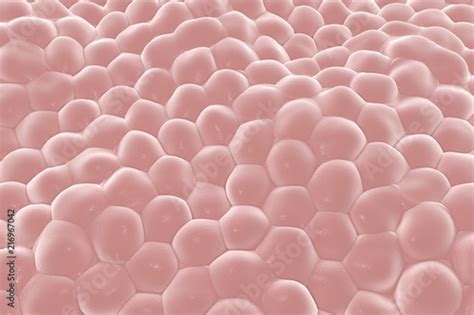 Layer Of Cells 3d Illustration Research Background Perfect To