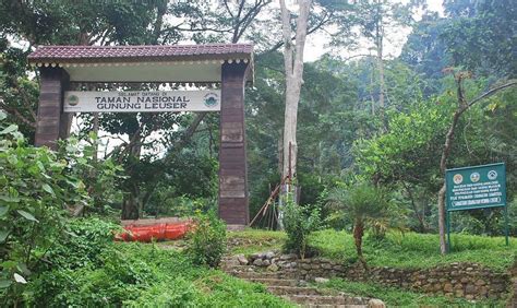 Perbedaan Pengelolaan Wilayah Taman Wisata Alam Tempat Wisata Indonesia