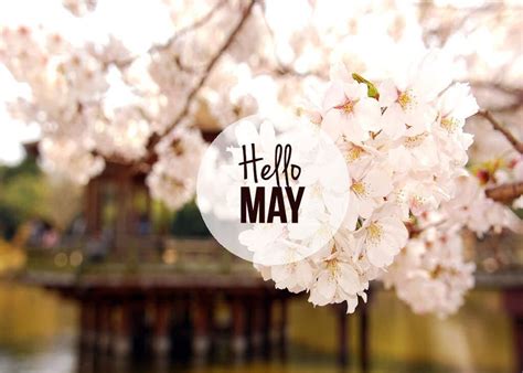 Hello May Pictures, Photos, and Images for Facebook, Tumblr, Pinterest