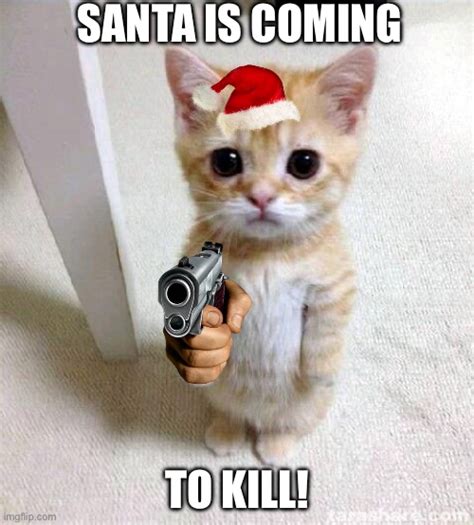 Santa Cat Imgflip