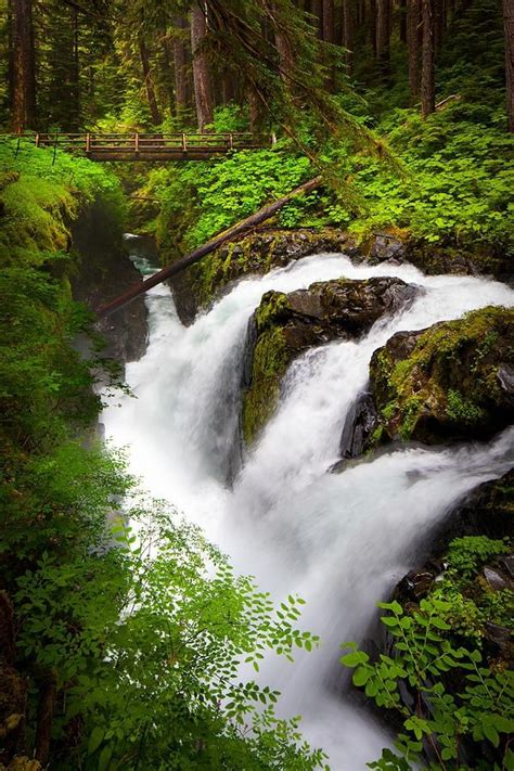 The Sol Duc River Is Divided Into 3 Or 4 Separate Streams Depending On