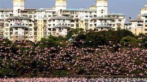 Faktor utama pelancong berkunjung ke malaysia adalah disebabkan negara kita mempunyai pelbagai tempat menarik. Mumbai Ada Tarikan Baru Pelancong Boleh Kunjungi! - Raja Cuti