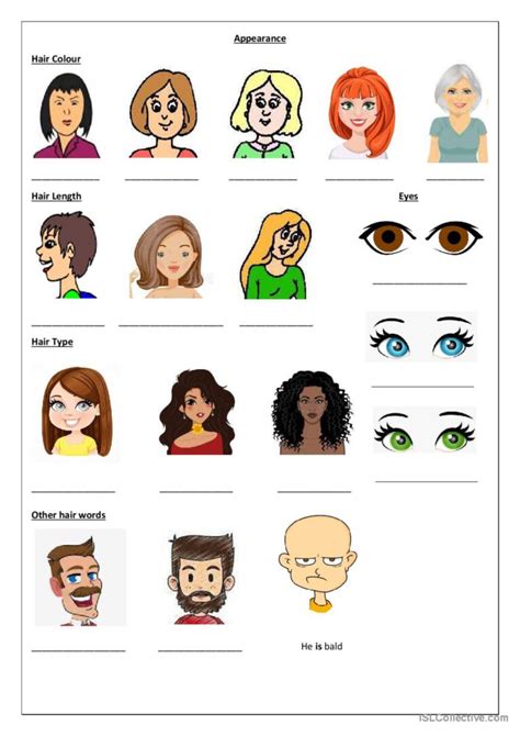 Appearance Hair And Eyes English Esl Worksheets Pdf Doc