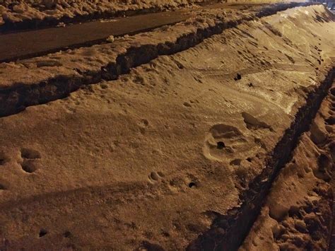 Emas dan perak diperoleh dengan cara menumbuk sampai hancur batu yang mengandung logam ini. Gambar : pasir, batu, salju, malam, tanah, kotor, bahan ...