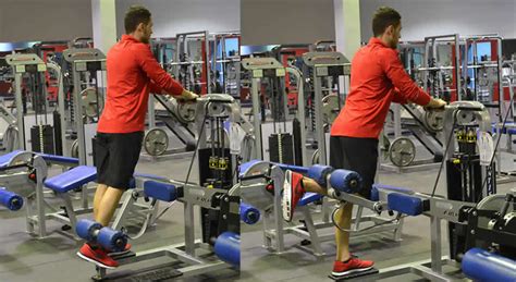 Standing Isolated Hamstring Curl Exercise The Optimal You