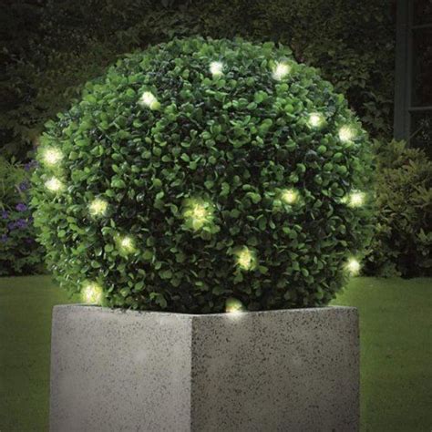 To Be Put In The Tall Rattan Pots 28cm Artificial Led Boxus Boxwood