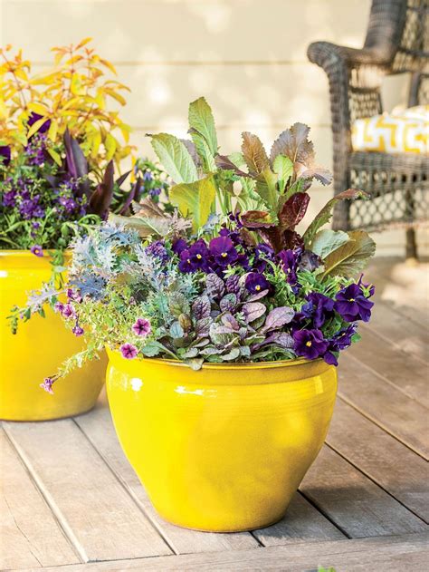 Even when you are growing them in a container, you must get them in potting soil soon so they have enough time to chill before the spring. 31 Colorful Spring Container Gardens | Patio container ...