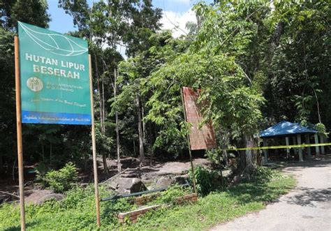 Jabatan Perhutanan Pahang Buka Semula Taman Eko Rimba Mulai Januari