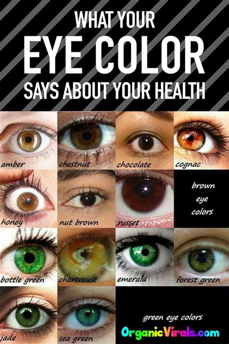 Infographic Eye Color Breakdown Guide Upmc Healthbeat Iridology Rayid