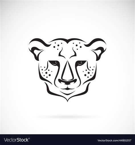 Cheetah Head Design On White Background Wild Vector Image