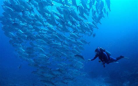 Fiji may just be our favourite location for a laidback family vacay and