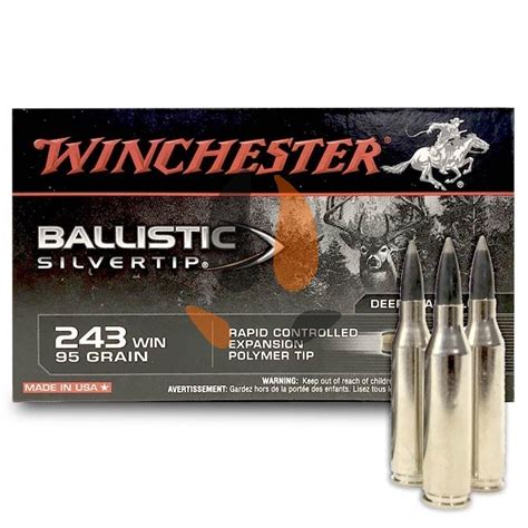 Winchester Ballistic Silvertip 243 Win 95 Grs Sur Chasse Concept