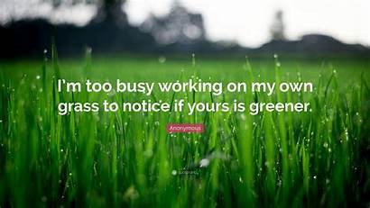 Busy Quotes Inspirational Grass Own Too Working