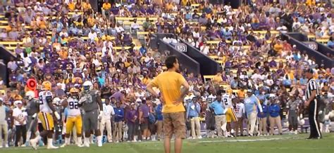 Lsu Fan Walks On Field Watches Full Play From Behind Qb Before Cops Move In Mlive Com