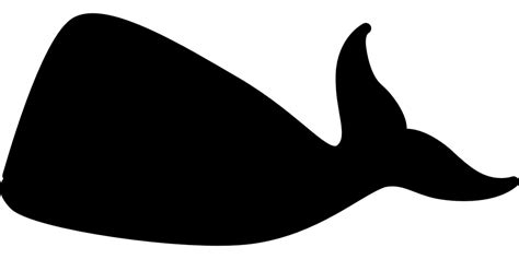 Blue Whale Killer Whale Clip Art Whale Png Download 960480 Free